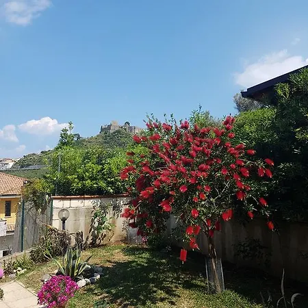 Cassiodoro Sul Mare